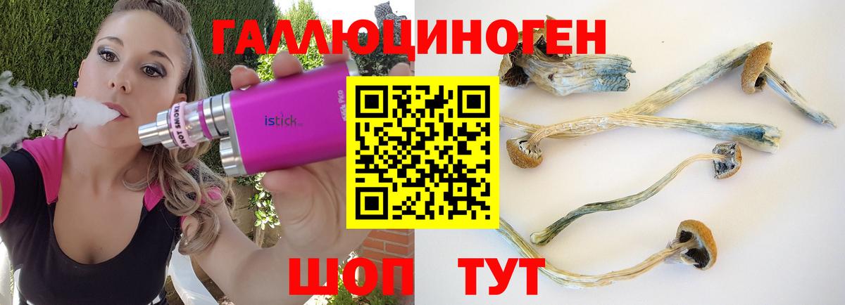 Губкин  Псилоцибиновые грибы прущие грибы  купить наркотики цена  Вход с VPN 